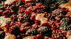 Dutch Oven Blackberry Cobbler