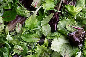 Spring mix salad