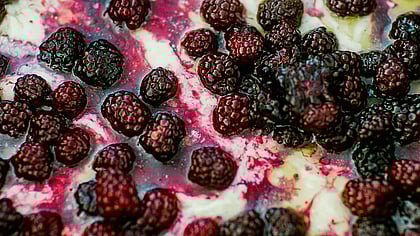 Blackberry cobbler before baking in Dutch Oven